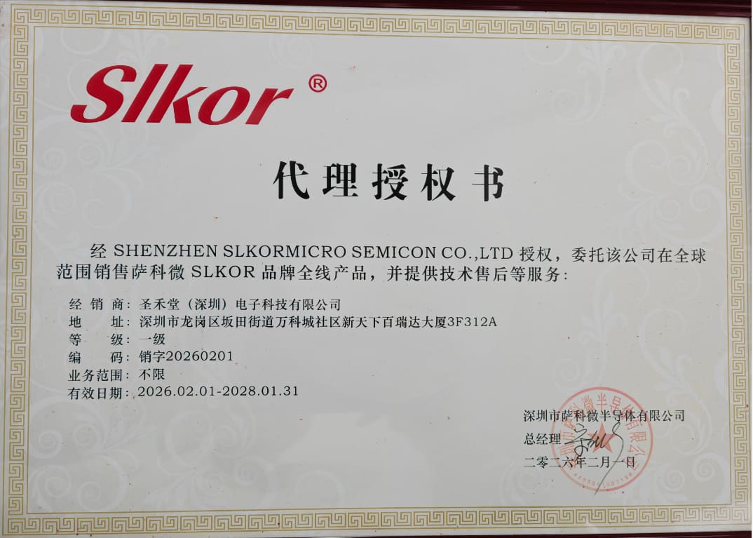 SLESDL0402-24 产品实物图片