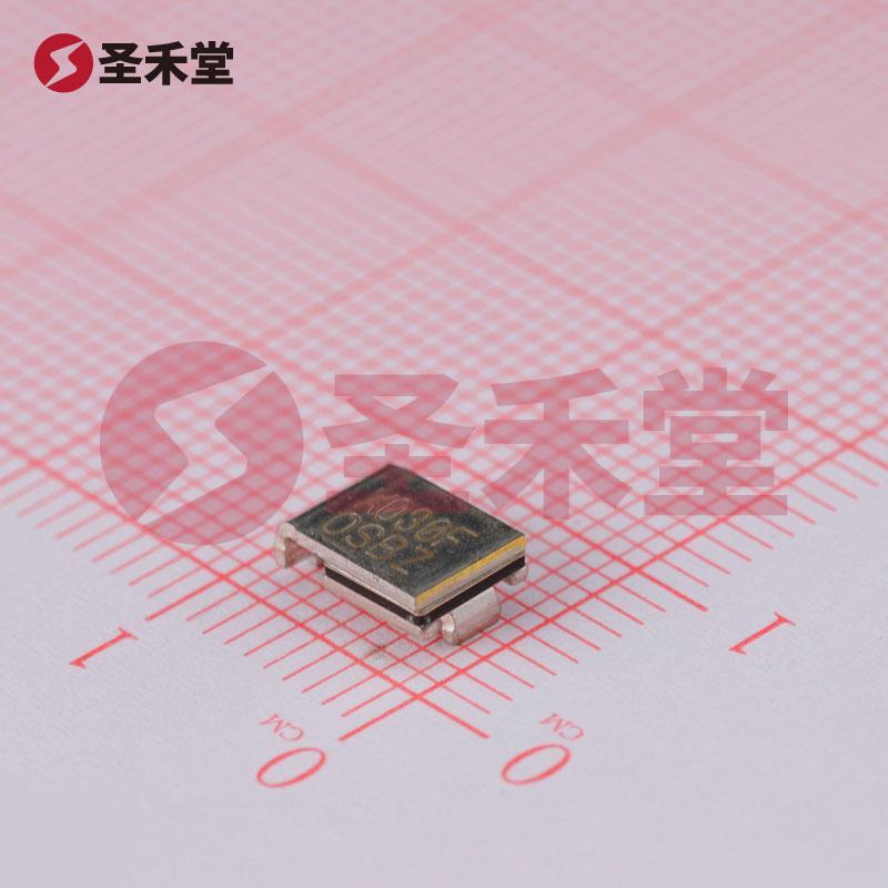 SMD030F-2 产品实物图片