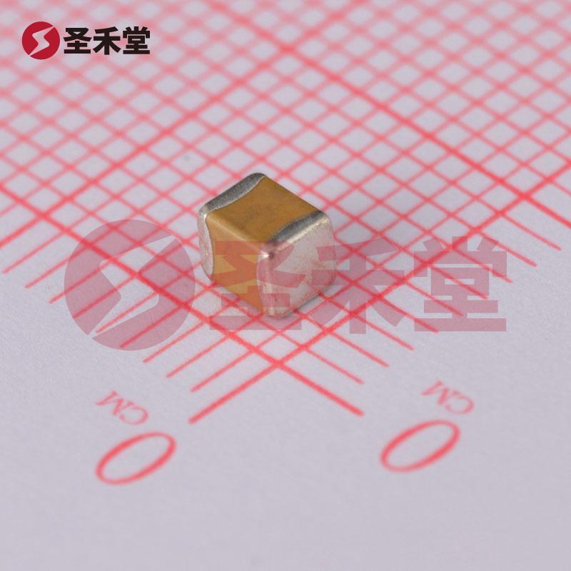 GRM32ER60J107ME20L 产品实物图片