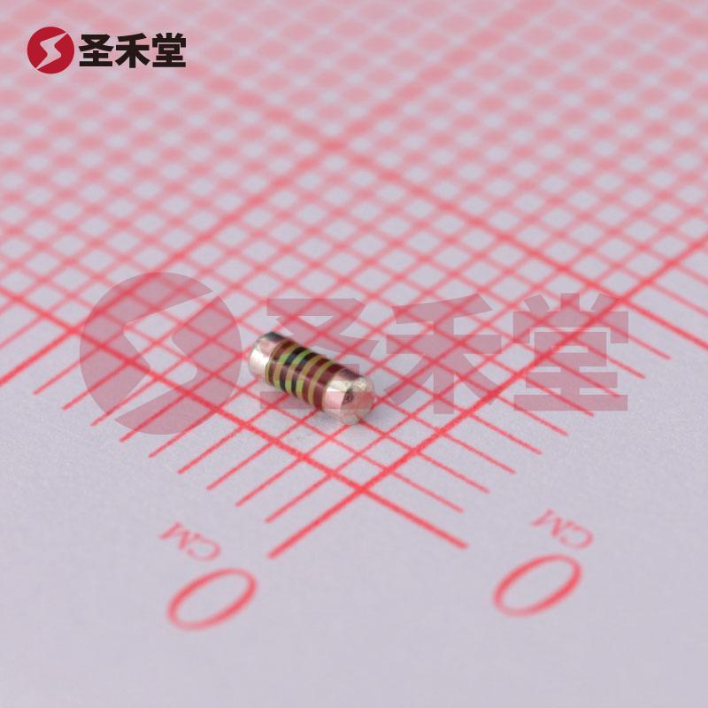 SMM02040C1001FB300 产品实物图片