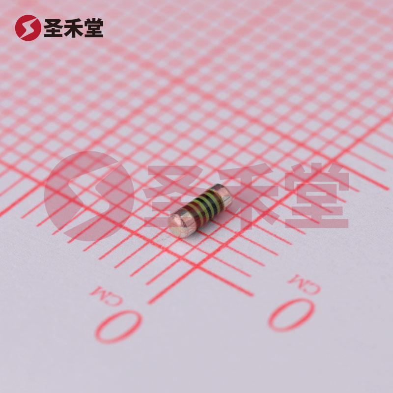 SMM02040C1001FB300 产品实物图片