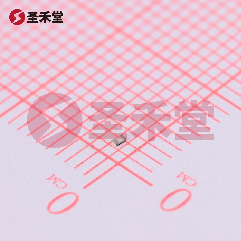 RC0402JR-07100RL 产品实物图片