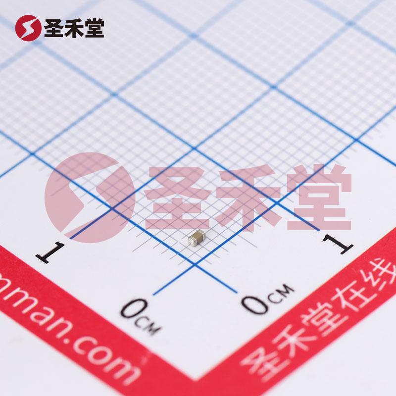 CC0603KRX7R0BB102 产品实物图片