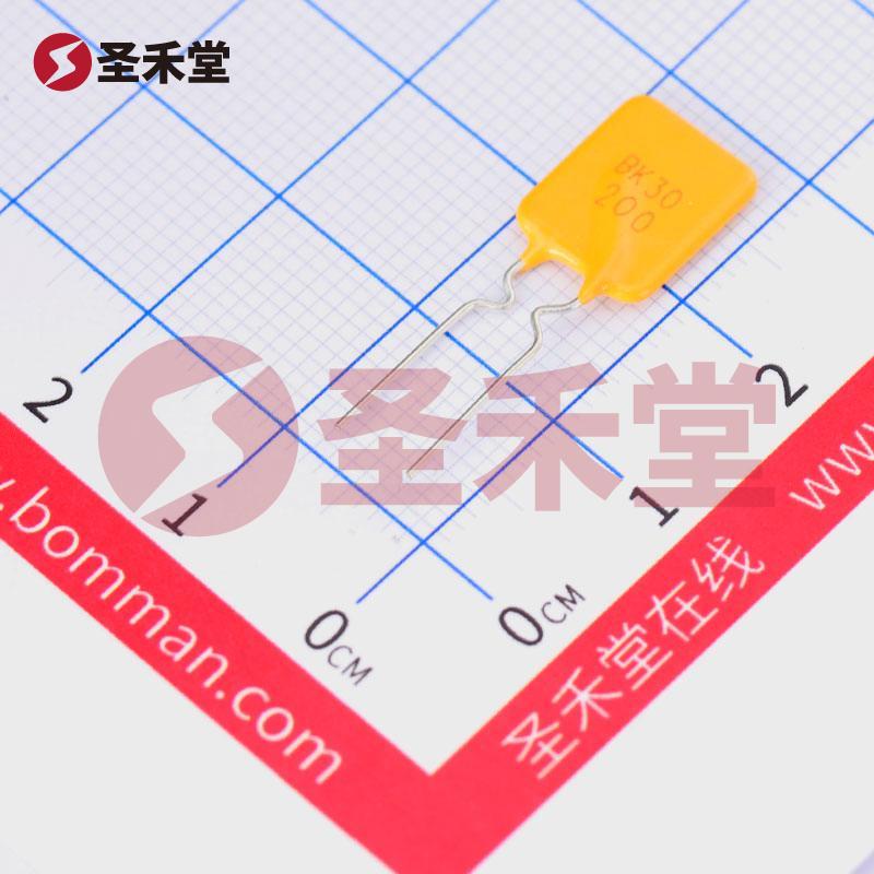 BK30-200-SI 产品实物图片