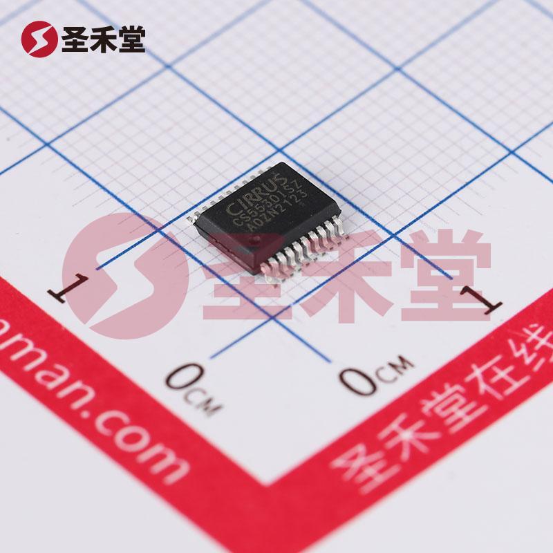 CS5530-ISZ 产品实物图片