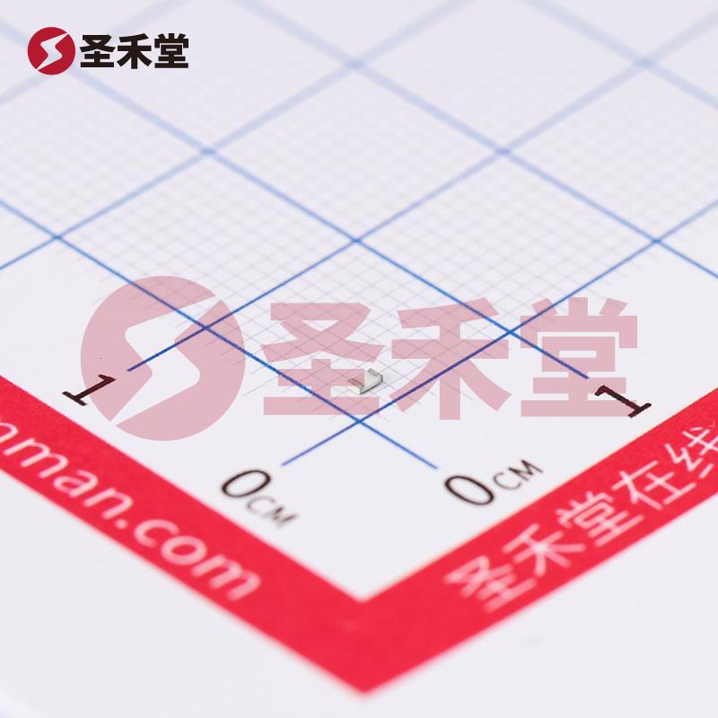 RS-03K1003FT 产品实物图片