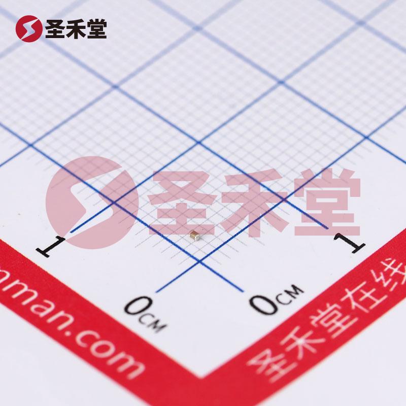 CC0402KRX7R9BB332 产品实物图片