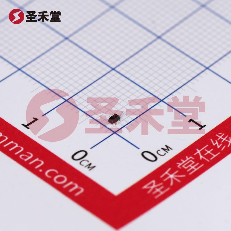 RE1C002ZPTL 产品实物图片