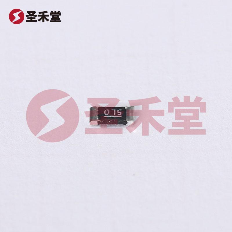 WSLP12065L000FEA 产品实物图片