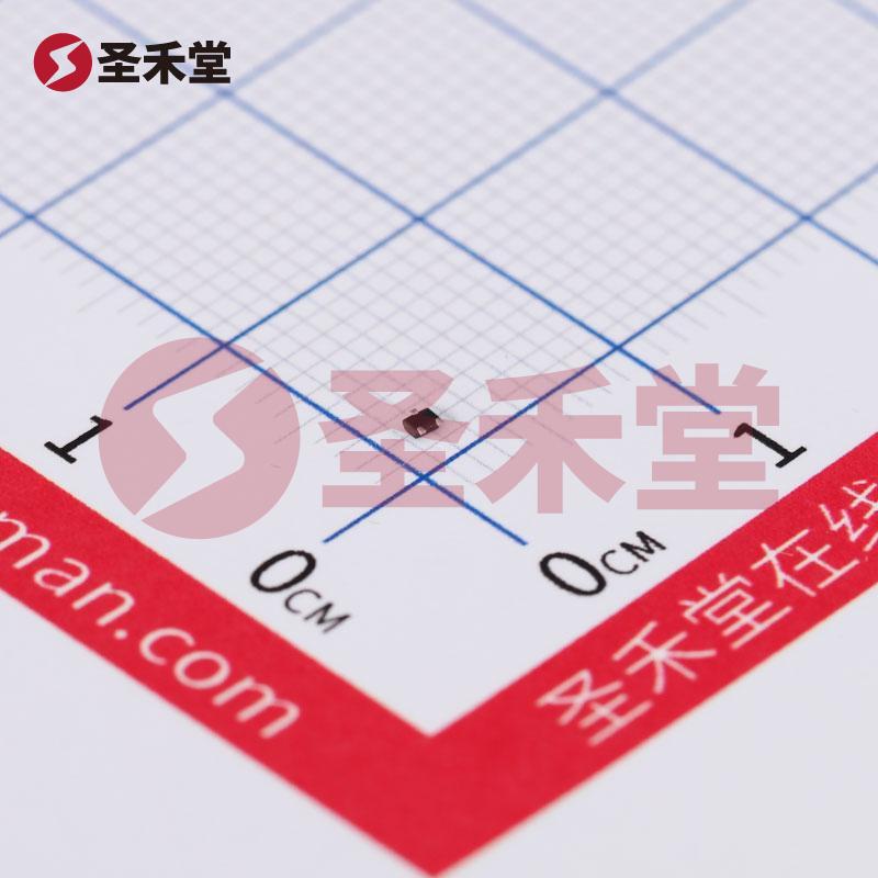 RZM001P02T2L 产品实物图片
