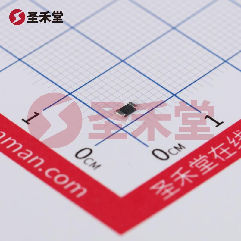 WSLP12065L000FEA 产品实物图片