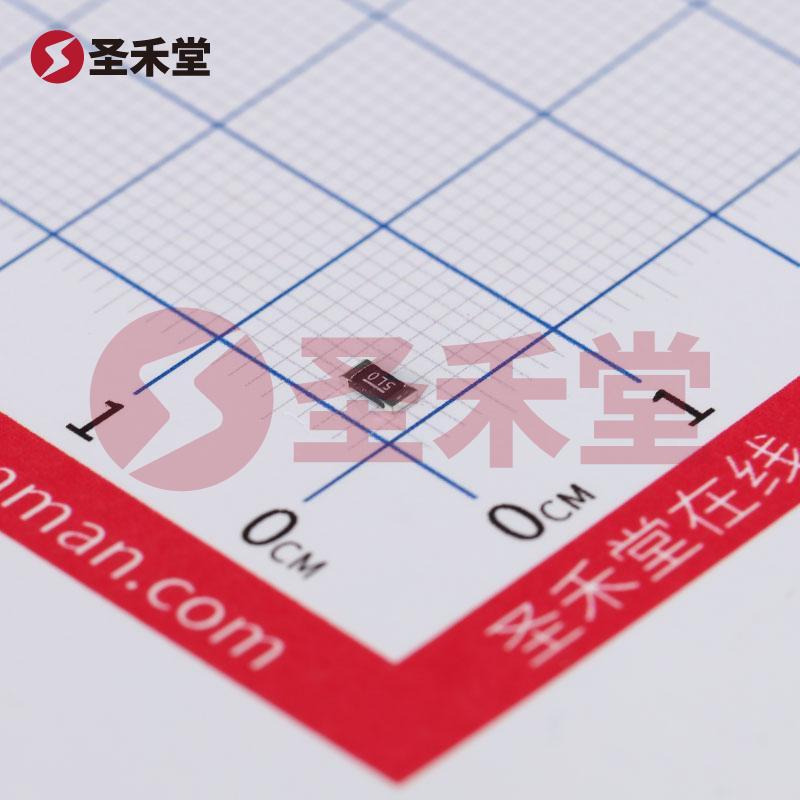 WSLP12065L000FEA 产品实物图片