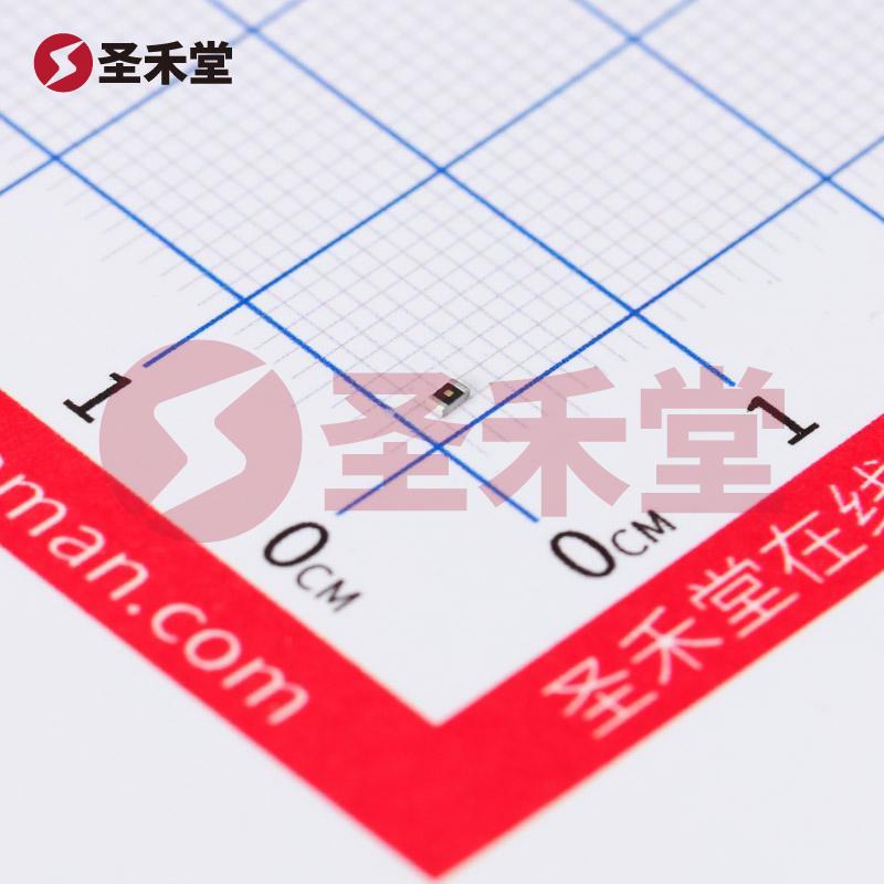 ESR03EZPJ2R2 产品实物图片