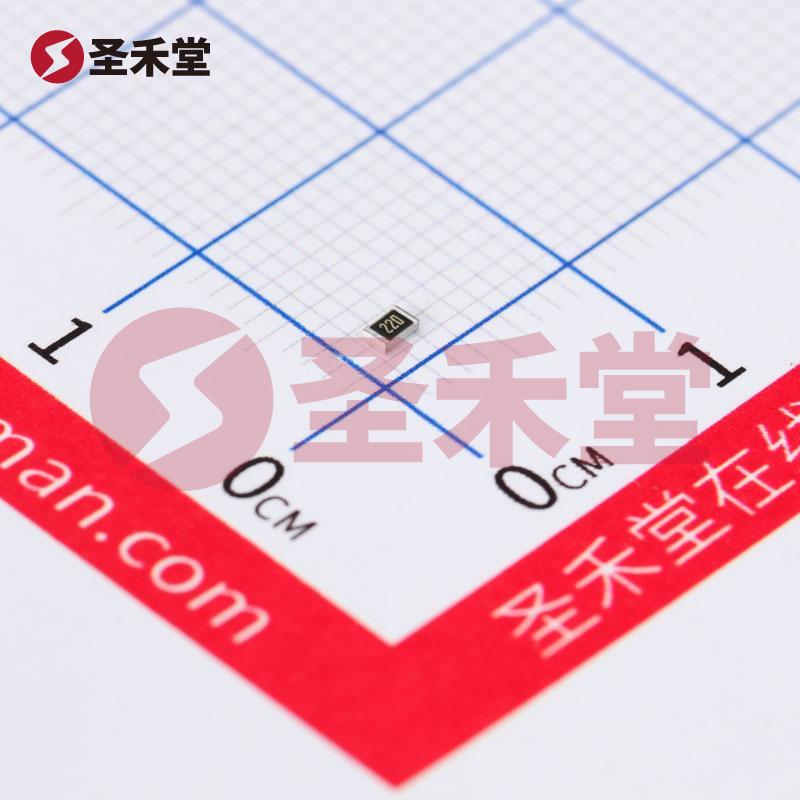 ESR10EZPJ220 产品实物图片