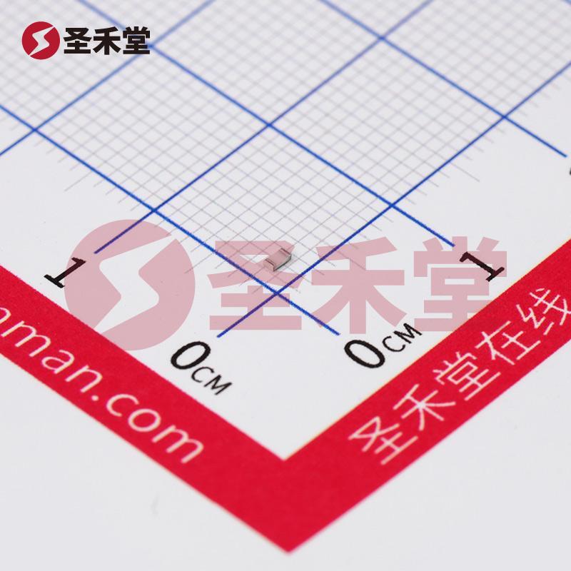 ESR03EZPJ100 产品实物图片