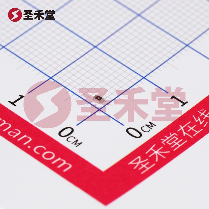 ESR03EZPJ101 产品实物图片