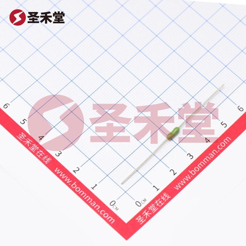 0251.062NRT1L 产品实物图片