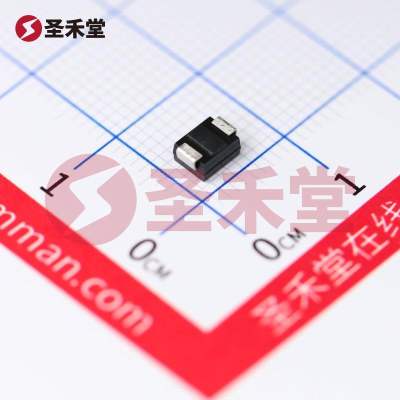 RS1DB-13-F 产品实物图片