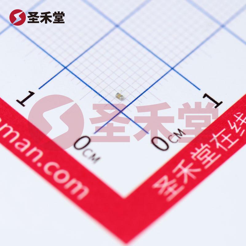 CC0402KRX7R0BB102 产品实物图片