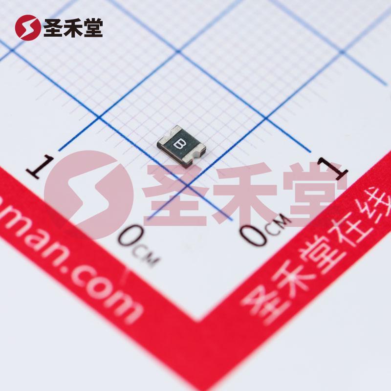 1210L010WR 产品实物图片