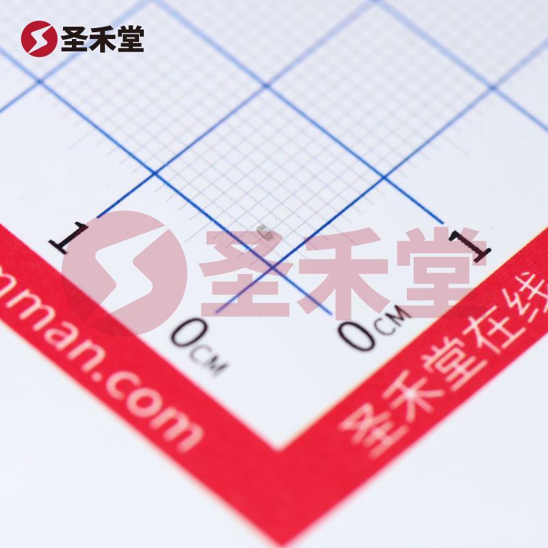 RC0402JR-07100KL 产品实物图片