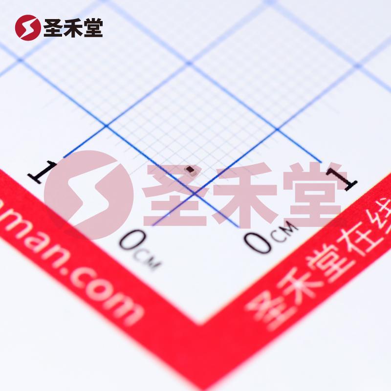 0402WGJ0202TCE 产品实物图片