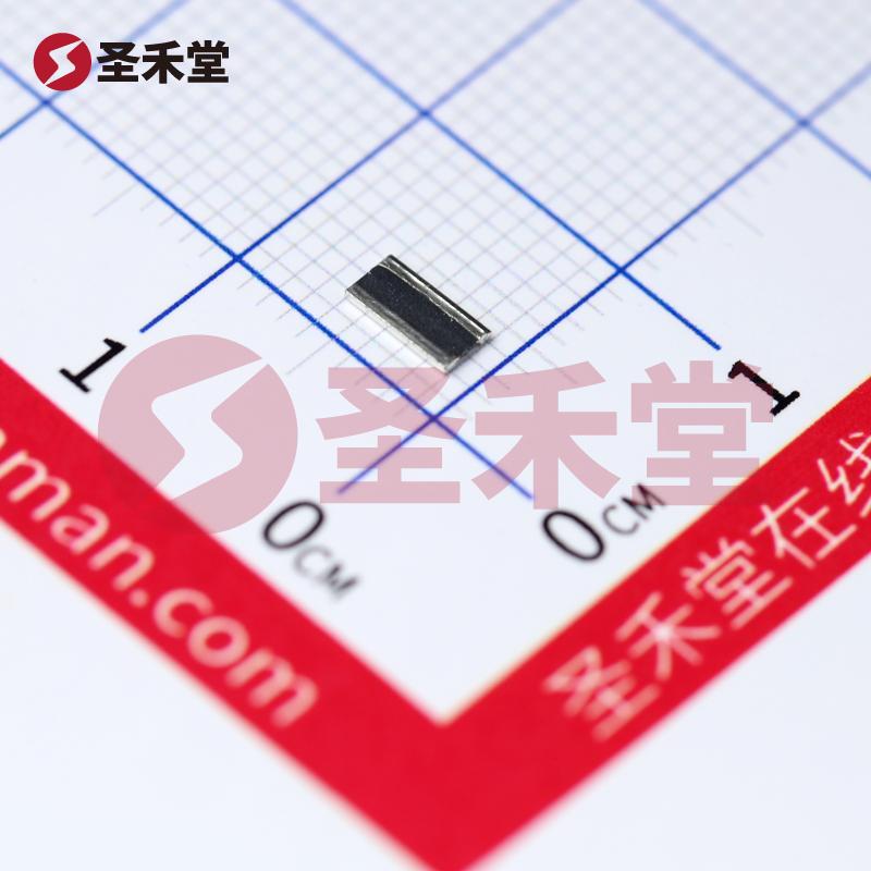 WSL10205L000FEA 产品实物图片