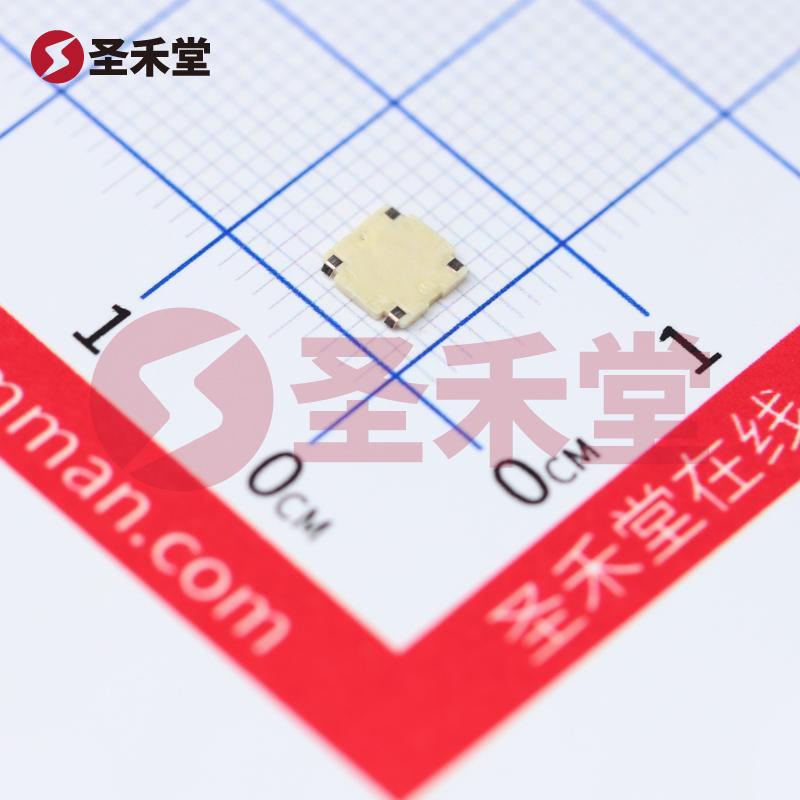 SKRBACE010 产品实物图片