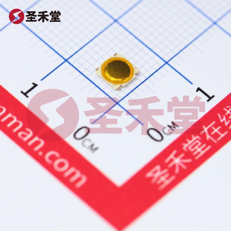 SKRBACE010 产品实物图片