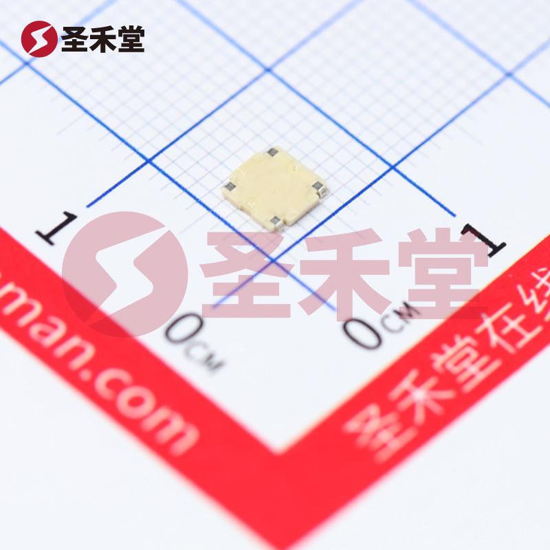 SKRBAAE010 产品实物图片