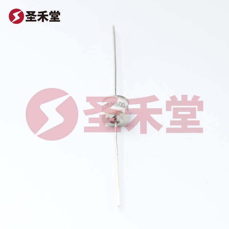 2RM600L-8 产品实物图片