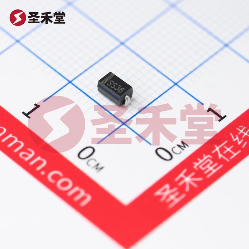 SS36 产品实物图片