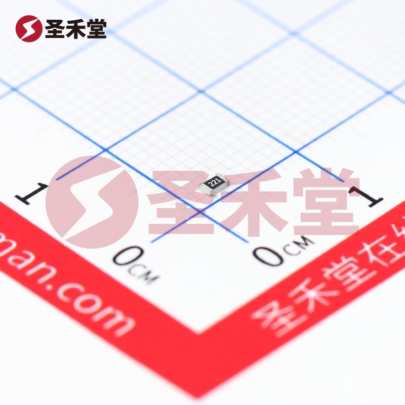 RS-05K221JT 产品实物图片