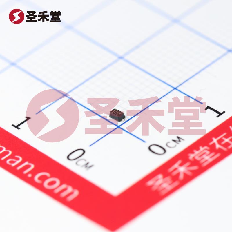 BAV21WS_R1_00001 产品实物图片