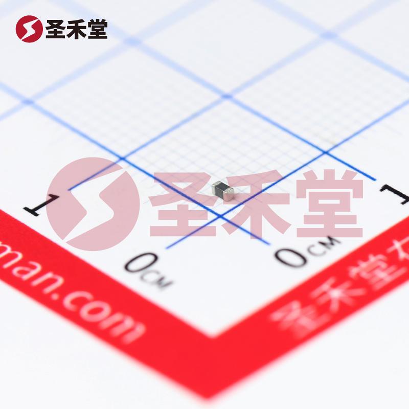 CBW160808U101T 产品实物图片