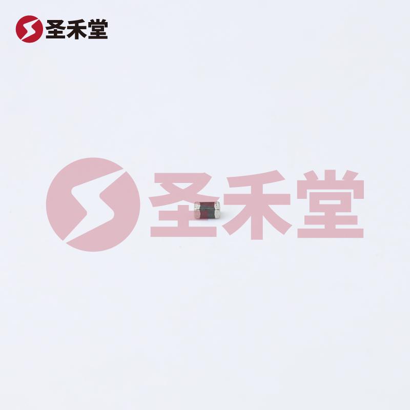 CBW160808U101T 产品实物图片
