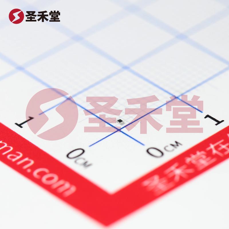 0402WGJ0302TCE 产品实物图片