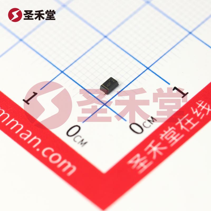 SS24FL 产品实物图片