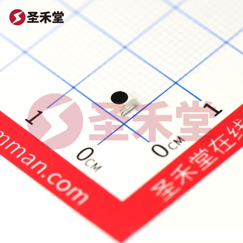 VEMT3700F-GS08 产品实物图片