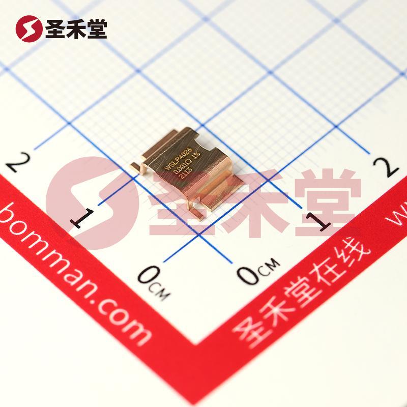 WSLP40261L000FEA 产品实物图片
