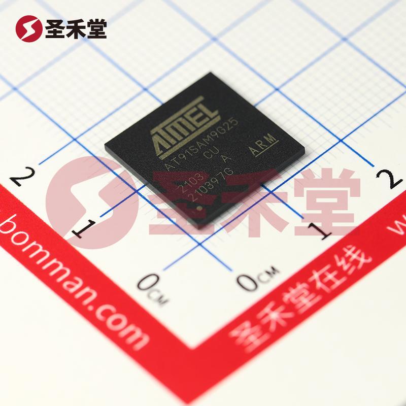 AT91SAM9G25-CU 产品实物图片