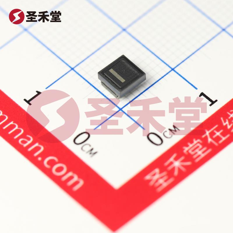 DLW5BTM101SQ2L 产品实物图片